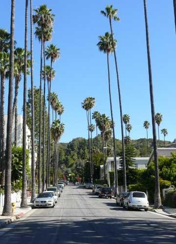 Dresden B & B Los Angeles Buitenkant foto